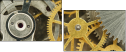 56949725