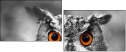 57830545