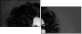 59537823