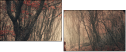 60442499
