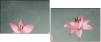 61954635