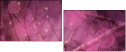 64114474