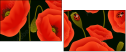 64821989