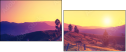 67236047