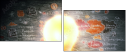 75977891