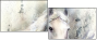 76649647
