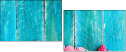 78660249