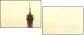 7871859