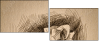 80258727