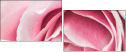 95247840