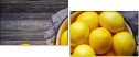 98203233