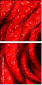 112923652