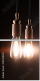 145420325
