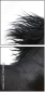 17865105