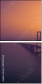 280953566