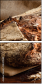 28431583