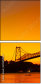 293004009