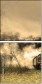 29517691