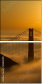 300812119