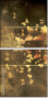 30149224