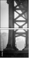 316463049