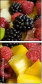 3721630