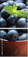 37936052