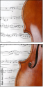 38715352