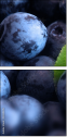 4030305