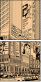 40780813