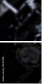 43413948