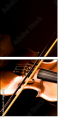 44605714