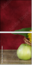 45812888