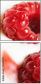 4684594