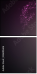 48695606