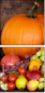 4889858