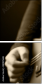 48987688