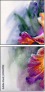 49614192