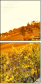 50713543