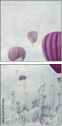 51047463