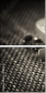 51861338