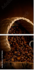 51978696