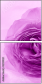 52109021