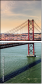 52434198