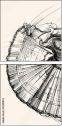 52441874