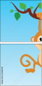 54063940