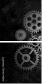 56625717