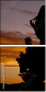58154901