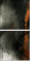 59576082