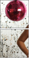 61002788